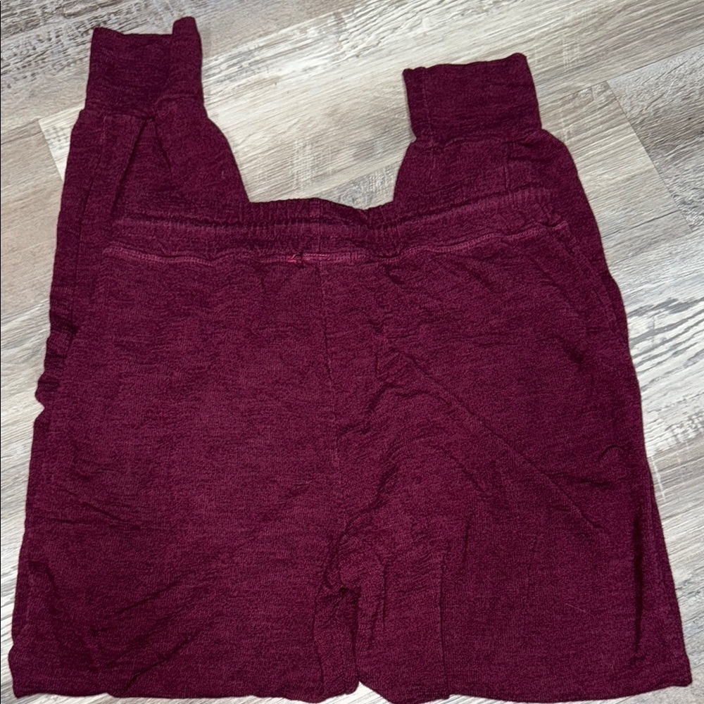Sundry by Evereve Comfy Burgundy Jogger Pants - Picture 5 of 6